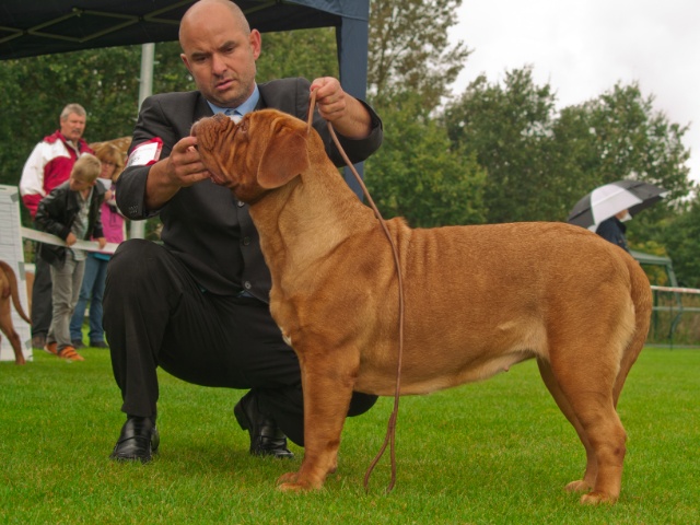 Isinrosse Lille Cracker 1.jpg - Show Nieuwegein